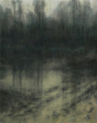 Robert Beckmann - Elemental Landscapes - Evening Pool